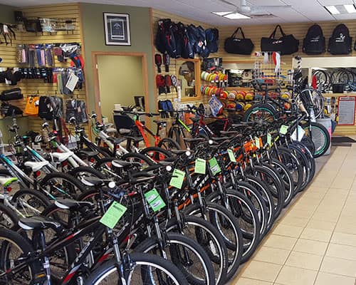 Bikes for Every Rider